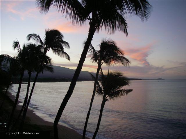 Hawaii nightfall